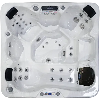 Avalon EC-849L hot tubs for sale in Bozeman